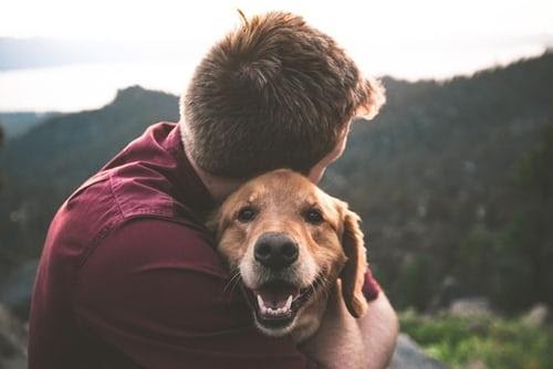 Собака – лучший друг человека