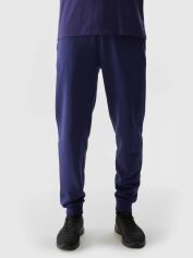 Акція на Спортивні штани чоловічі 4F Trousers Cas M603 4FWSS24TTTROM603-31S 2XL Сині від Rozetka