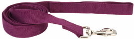 Акція на Поводок Coastal New Earth Soy Dog Leash для собак фиолетовый 1.6 см 1.83 м (55185) від Stylus