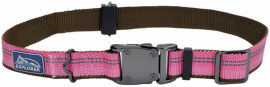 Акция на Нашийник Coastal K9 Explorer для собак нейлон рожевий 2.5x46-66 см от Y.UA