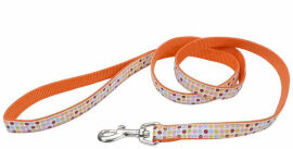 Акція на Повідець Coastal Pet Attire Ribbon для собак помаранчевий 2.5 смx1.8 м від Y.UA