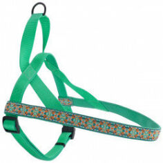 Акция на Шлея Coastal Ribbon Weave Harness для собак темно-бірюзовий з кісточками M 2.5x55-71 см от Y.UA