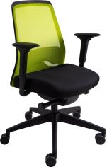 Акція на Крісло офісне Interstuhl EVERYis1 EV216 (MH01/green mesh) від Rozetka