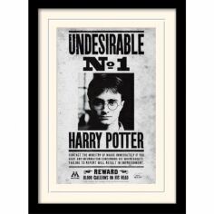 Акция на Постер в раме Pyramid International Harry Potter Undesirable No1 30x40 см (MP10616P-PL) от Stylus