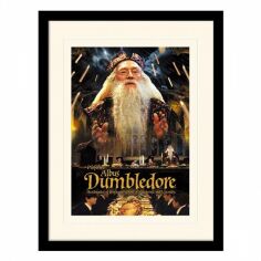 Акция на Постер в раме Pyramid International Harry Potter Dumbledore 30x40 см (MP11032P-PL) от Stylus