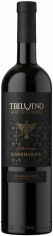 Акция на Вино Kindzmarauli красное полусладкое Tbilvino 0.75л (PRA4860038075410) от Stylus