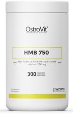 Акція на OstroVit Supreme Capsules Hmb 750 мг 300 капсул від Stylus