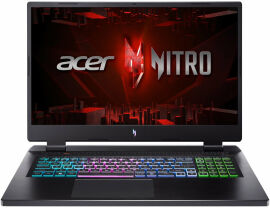 Акция на Acer Nitro 17 AN17-41 (NH.QL1EU.001) Ua от Stylus