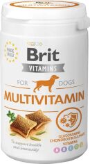 Акция на Витамины для собак Brit Vitamins Multivitamin для здоровья 150 г (8595602562527) от Stylus