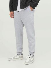Акція на Спортивні штани чоловічі Jack & Jones 12249274-54013 2XL Сірі від Rozetka