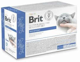 Акція на Влажный корм Brit Gf VetDiet Recovery для котов с лососем 12 x 85 г (8595602566747) від Stylus