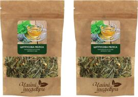 Акція на Комплект композиції на основі зеленого та трав'яного чаю Чайні шедеври Цитрусова меліса 60 г х 2 шт від Rozetka