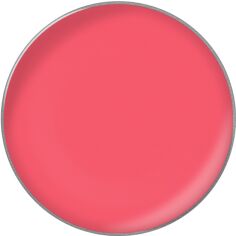 Акція на Помада для губ в рефілах Kodi Professional Lipstick Color refill 26 мм №34 від Rozetka