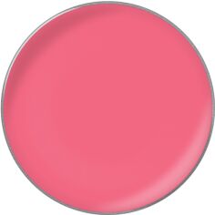 Акція на Помада для губ в рефілах Kodi Professional Lipstick Color refill 26 мм №40 від Rozetka