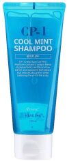 Акція на Шампунь для волосся Esthetic House CP-1 Head Spa Cool Mint Shampoo Охолоджуючий 100 мл від Rozetka