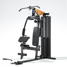 Акція на inSPORTline ProfiGym C45 (25975) від Stylus