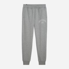 Акція на Спортивні штани утеплені чоловічі Puma Ess+ Logo Lab Sweatpants 68177603 XS Сірі від Rozetka