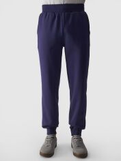 Акція на Спортивні штани утеплені чоловічі 4F Trousers Cas M0943 4FWMM00TTROM0943-31S 2XL Сині від Rozetka