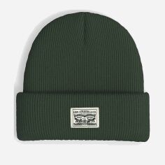 Акція на Шапка чоловіча Levi's 588242088 One Size Зелена від Rozetka