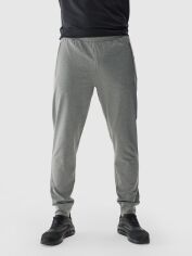 Акція на Спортивні штани утеплені чоловічі 4F Trousers Fnk M681 4FWAW24TFTRM681-25M XL Сірі від Rozetka