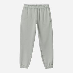 Акція на Спортивні штани утеплені чоловічі 4F Trousers Cas M0785 4FWAW24TTROM0785-25S 3XL Сірі від Rozetka