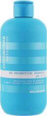 Акція на Відновлюючий шампунь для пошкодженого волосся Elgon Colorcare Re-Animation Shampoo 300 мл від Rozetka