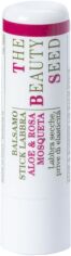 Акція на Бальзам для губ Bioearth The Beauty Seed Lip Balm Stick Aloe & rosehip oil 5.5 мл від Rozetka