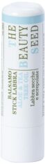 Акція на Бальзам для губ Bioearth The Beauty Seed Lip Balm Stick Aloe & Tea Tree oil 5.5 мл від Rozetka