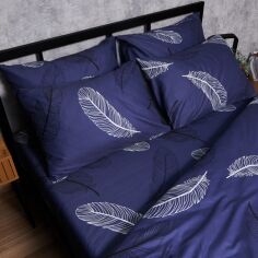 Акція на Набір наволочок Moon&Star Night Feathers Мікросатин Premium 60x60 см 2 шт (MS-840001126) від Rozetka