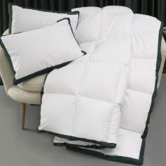 Акція на Набір MirSon №10015 Imperial Satin Luxe Ковдра літня Євро 200х220 Thinsulate + Дві подушки 50х70 від Rozetka