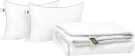 Акція на Набір MirSon №9589 Royal Ковдра зимова Євро 200х220 Ecosilk + Дві подушки 50х70 від Rozetka