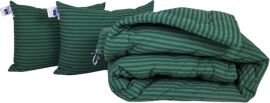 Акція на Набір MirSon №1044 Сolor Fun Line Ковдра демісезонна Євро 200х220 см 17-0612 Stripe Emerald з евкаліптовим волокном + Дві подушки 50x70 см від Rozetka