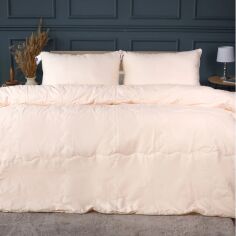Акція на Набір MirSon №2960 Ковдра літня Односпальна 140х205 Line Satin Light Pro 10-016 Creamy Thinsulate + 2 подушки 50х70 + 2 наволочки 50х70 + простирадло 150х220 від Rozetka