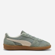 Акція на Жіночі кеди низькі Puma Palermo Vintage 39684112 38 (5UK) 24 см Green Moon-Alpine Snow від Rozetka