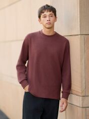 Акція на Світшот чоловічий Uniqlo 896352062 3XL Коричневий від Rozetka