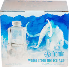 Акція на Упаковка воды ледникового периода питьевой негазированной Fromin Ledovka Water Glass 0.75 л х 6 бутылок (8594161671671) від Rozetka UA