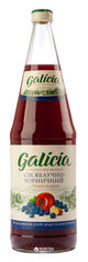 Акція на Упаковка сока Galicia Яблочно-черничный прямого отжима неосветленный 1 л х 6 бутылок (4820209560749) від Rozetka UA