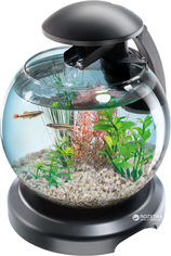 Акция на Аквариумный набор Tetra Cascade Globe 6.8 л для петушка и золотой рыбки Черный (4004218211827) от Rozetka UA