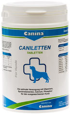 Акция на Комплекс для взрослых собак Canina Caniletten 1000 г 500 таблеток (4027565120314) от Rozetka UA