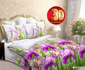 Акція на Комплект постельного белья Novita Бязь 3980-2 150х215x2 (ROZ6205021485) від Rozetka UA