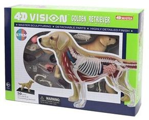 Акція на Об'ємна анатомічна модель 4D Master Собака золотистий ретривер FM-622007 від Y.UA