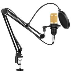 Акція на Студийный микрофон Music D.J. M800 со стойкой и ветрозащитой Black/Gold від Allo UA