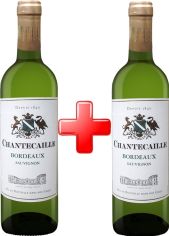 Акция на Набор GVG Chantecaille Bordeaux Blanc белое сухое 1.5 л 12% (3429671215402) от Rozetka UA