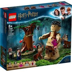 Акция на LEGO Harry Potter Запретный лес: Грохх и Долорес Амбридж 75967 от Allo UA