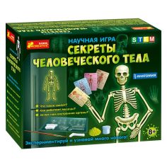 Акция на Научная игра Ranok Creative Анатомия Скелет человека (12115017Р) от Будинок іграшок