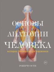 Акція на Роберто Ости: Основы анатомии человека. Наглядное руководство для художников від Y.UA
