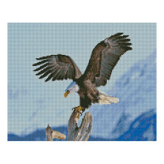 Акція на Алмазна картина Strateg Гірський орел 2 40х50 см (FA40779) від Будинок іграшок