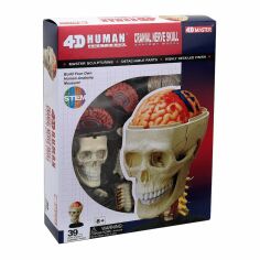 Акція на Об'ємна модель 4D Master Черепно-мозкова коробка людини (FM-626005) від Будинок іграшок