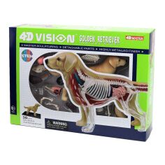 Акція на Об'ємна модель 4D Master Собака золотистий ретрівер (FM-622007) від Будинок іграшок