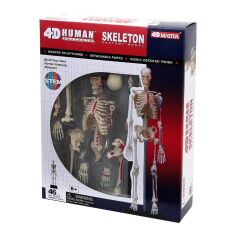 Акція на Об'ємна модель 4D Master Скелет людини (FM-626011) від Будинок іграшок
